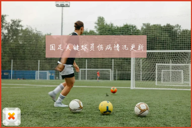 国足关键球员伤病情况更新
