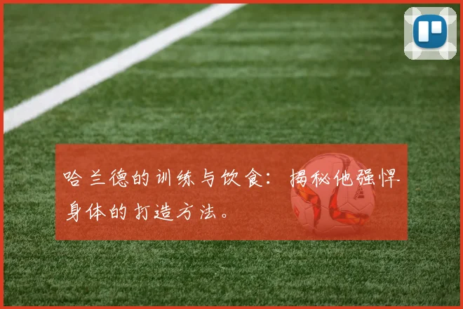 哈兰德的训练与饮食:揭秘他强悍身体的打造方法。