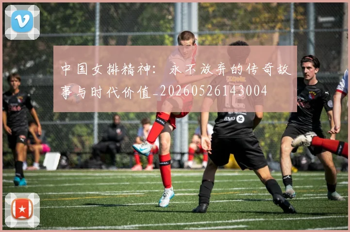 中国女排精神:永不放弃的传奇故事与时代价值_20260526143004