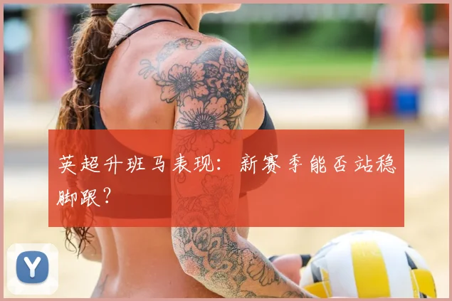 英超升班马表现:新赛季能否站稳脚跟?